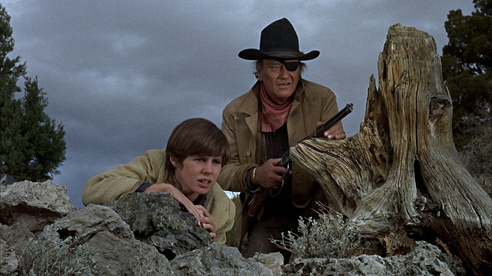 Gallery of John Wayne