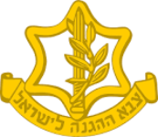 Gallery of Simcha Raz