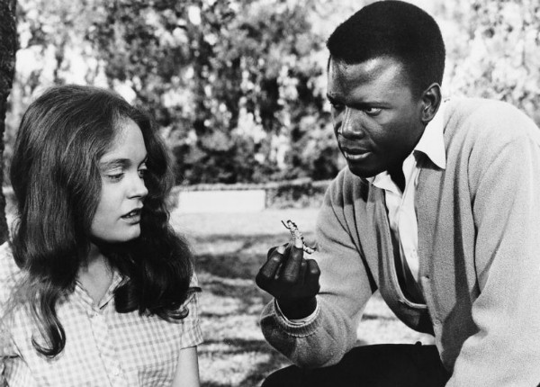 Gallery of Sidney Poitier