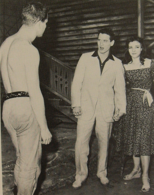 Career period of Paul Newman in career