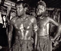 Career period of William Holden in career