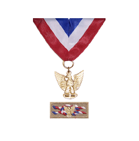 Distinguished Eagle Scout Award
