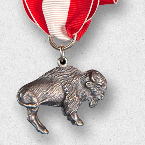 Silver Buffalo Award