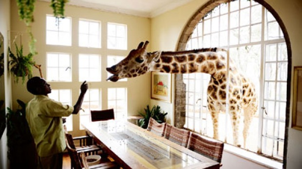  Mount Kenya Safari Club 