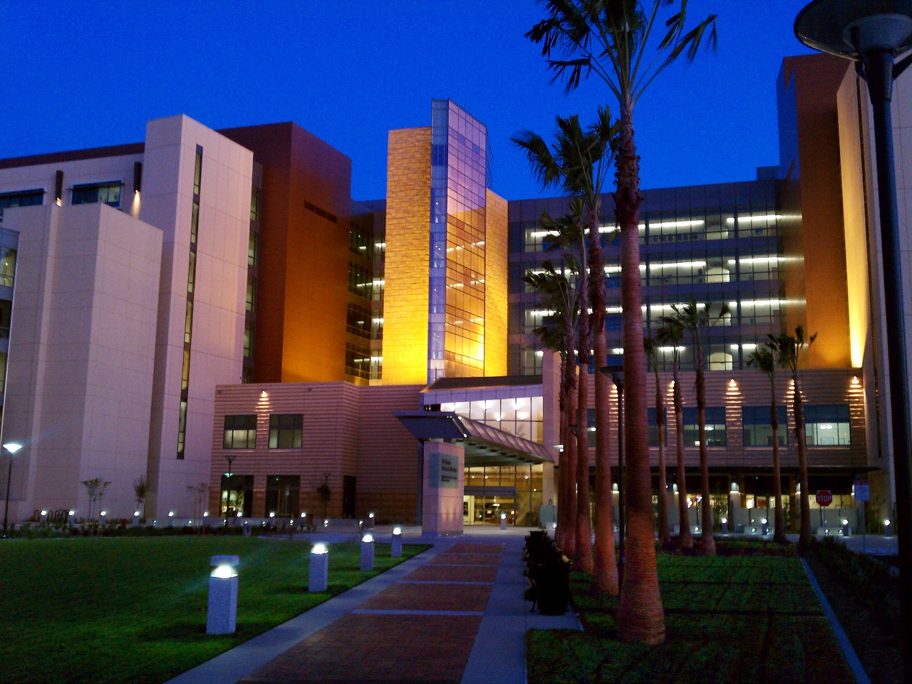 Gallery of Jervey Tervalon