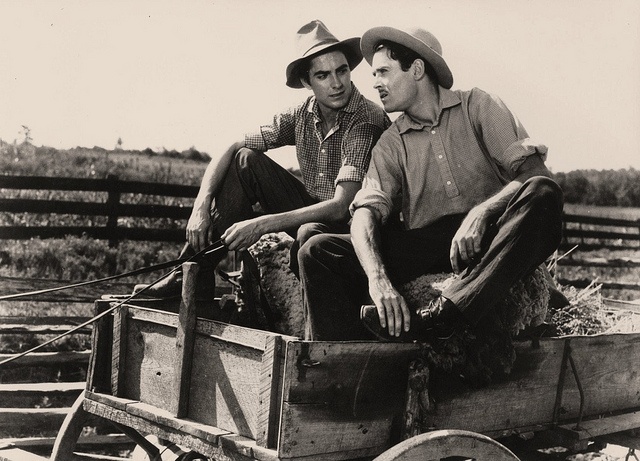 Gallery of Henry Fonda