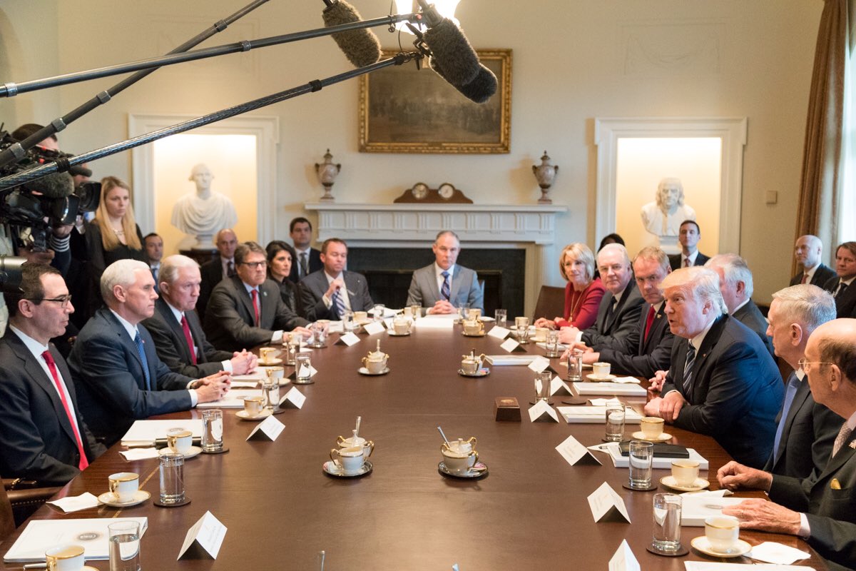 Gallery of Donald Trump