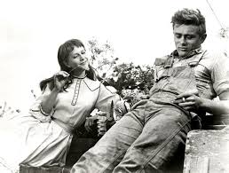 Gallery of James Dean