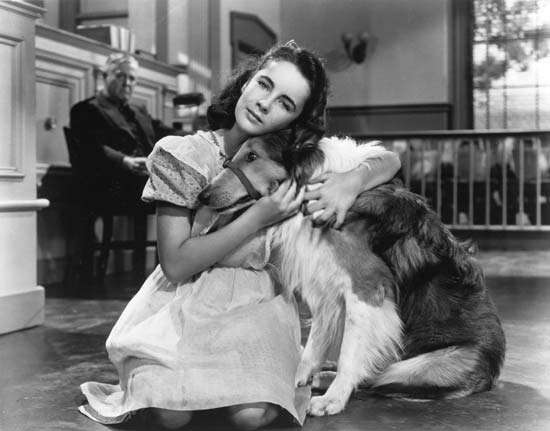 Gallery of Elizabeth Taylor