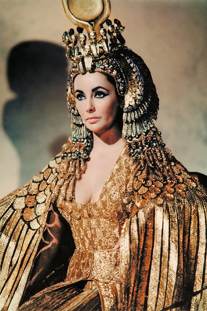 Gallery of Elizabeth Taylor
