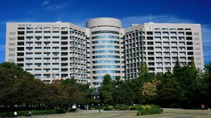 Gallery of Taketomo Mitsui