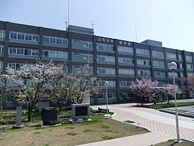 Gallery of Humitake Seki