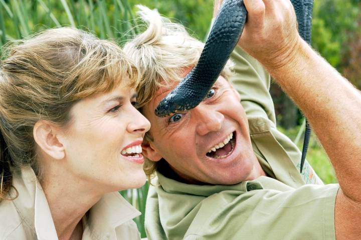 Gallery of Steve Irwin