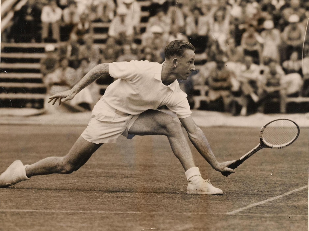 Gallery of Rod Laver