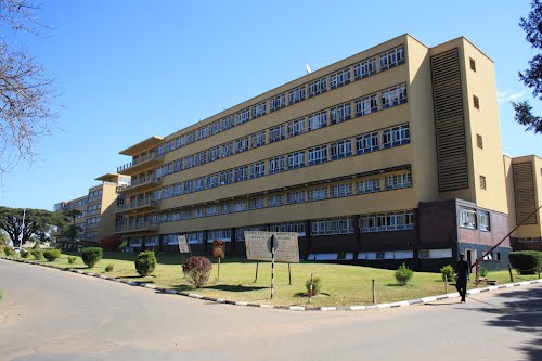 Gallery of Chifumbe Chintu