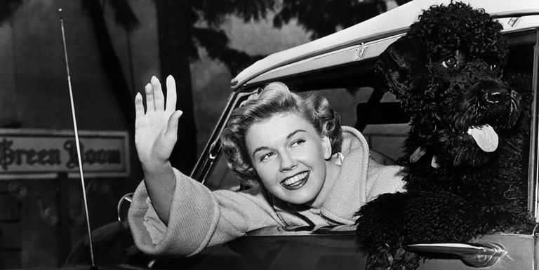 Gallery of Doris Day