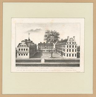 Gallery of John Morgan Jr.