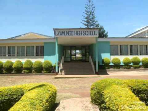 Gallery of Jones Mashambo