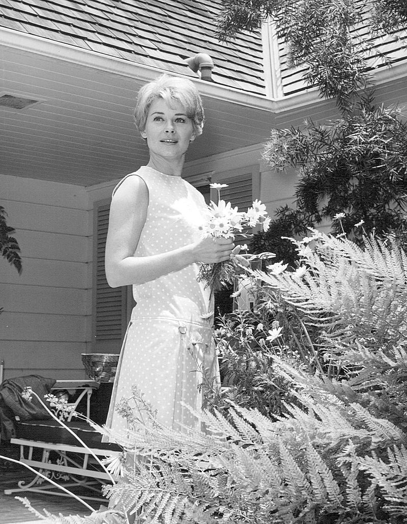 First wife: Hope Lange