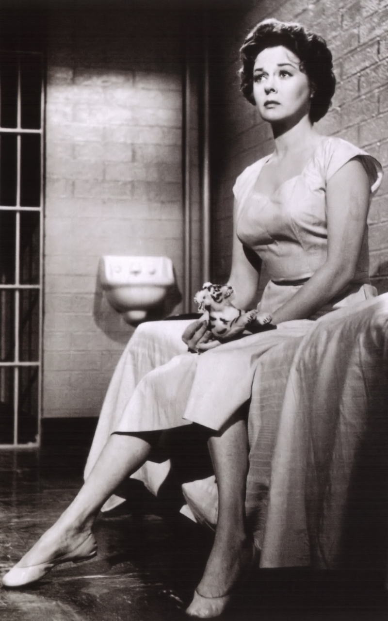 Gallery of Susan Hayward