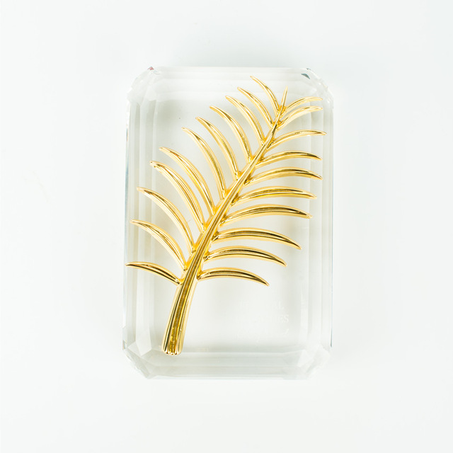 Cannes Film Festival Award