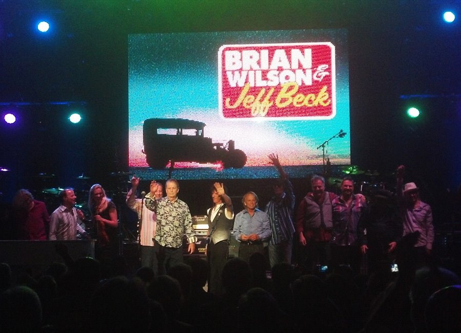 Gallery of Brian Wilson