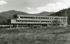 Gallery of Dorothea Rockburne
