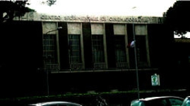 Gallery of Luigi Zampa
