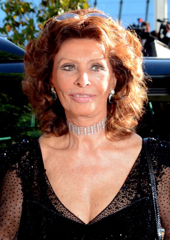 Gallery of Sophia Loren
