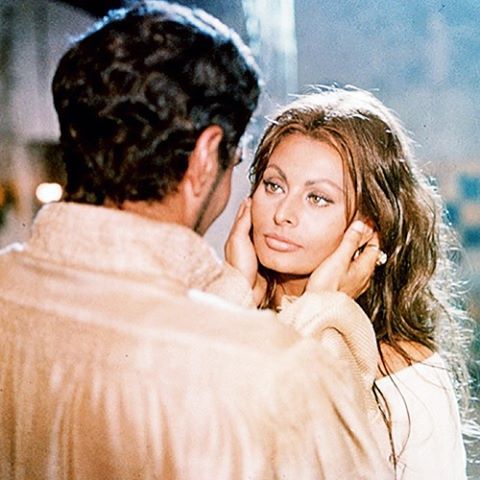 Gallery of Sophia Loren