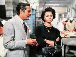 Gallery of Sophia Loren