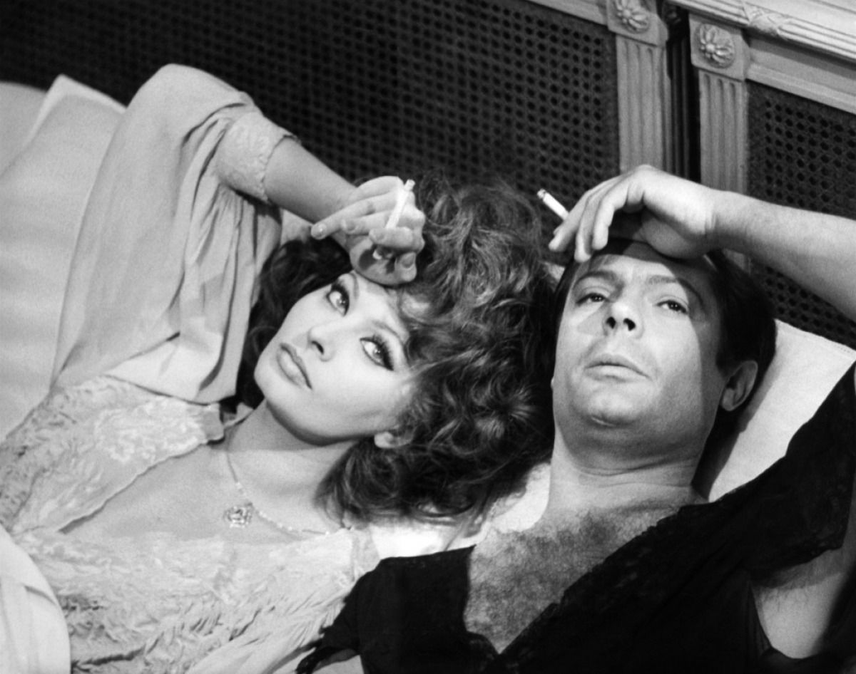 Gallery of Sophia Loren