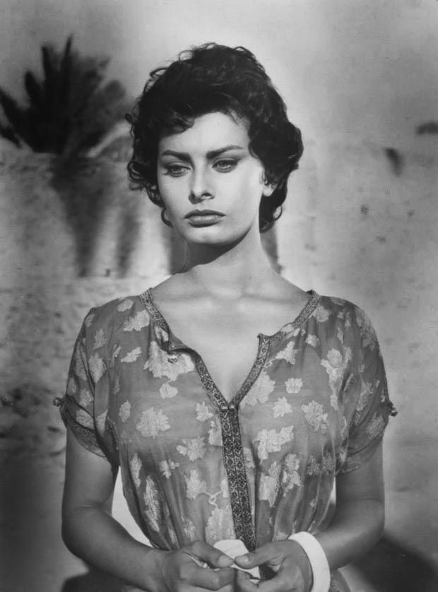 Gallery of Sophia Loren