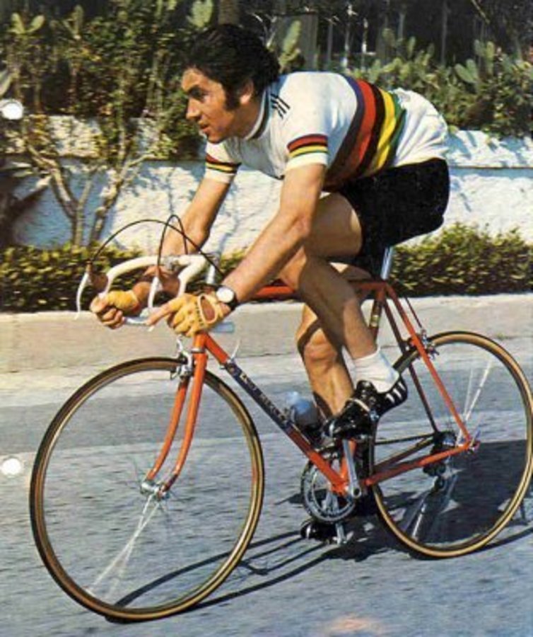 Gallery of Eddy Merckx