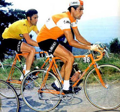 Gallery of Eddy Merckx