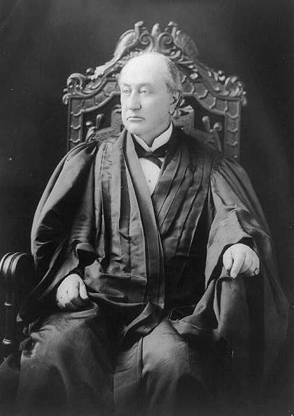Gallery of David Brewer