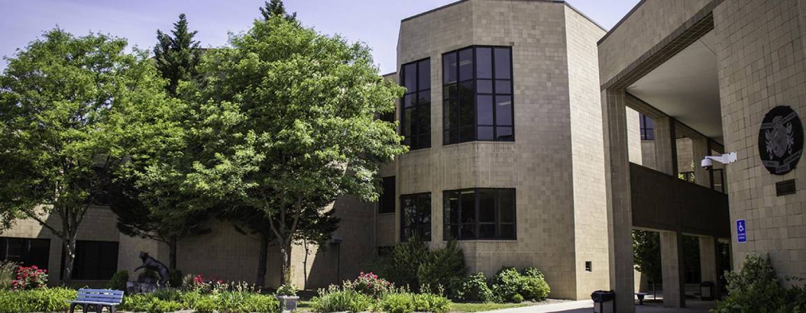Gallery of Chris Bridges