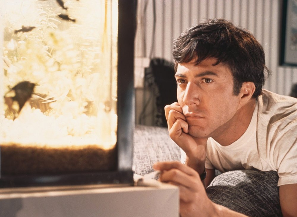 Gallery of Dustin Hoffman