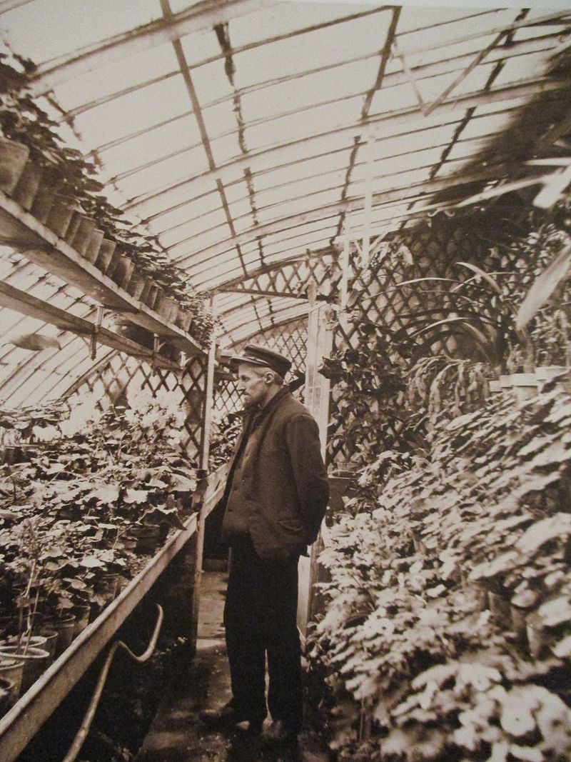 Gallery of Gustave Caillebotte