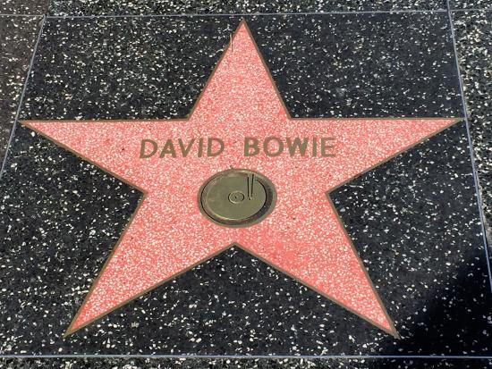 Star on the Hollywood Walk of Fame