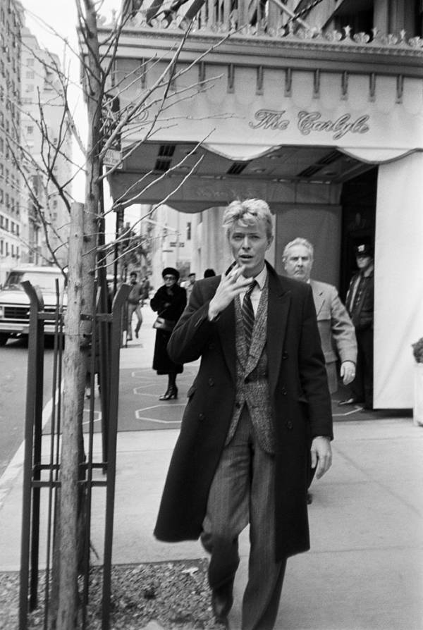 Gallery of David Bowie