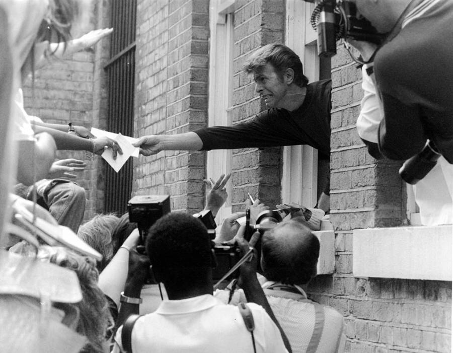 Gallery of David Bowie