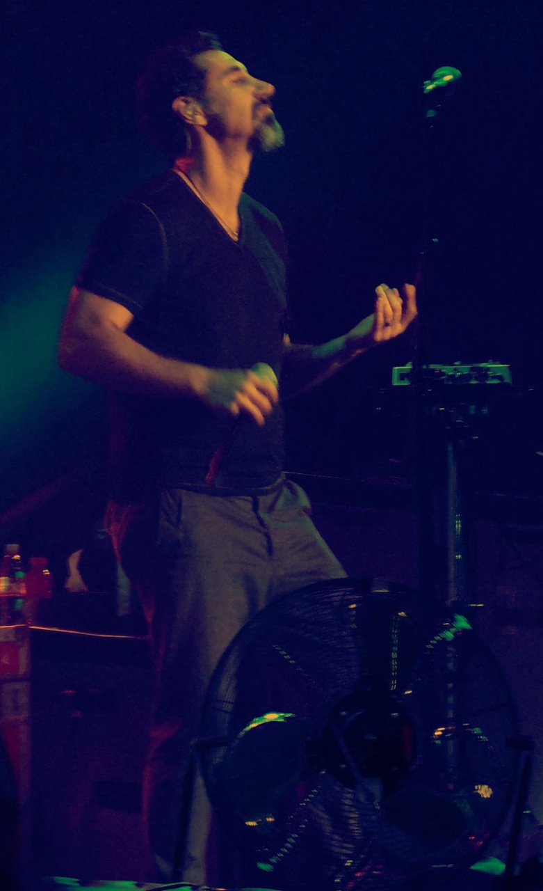 Career period of Serj Tankian in career