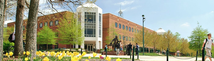 Gallery of Dean Sullivan