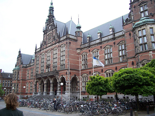 Gallery of Martijn Rep