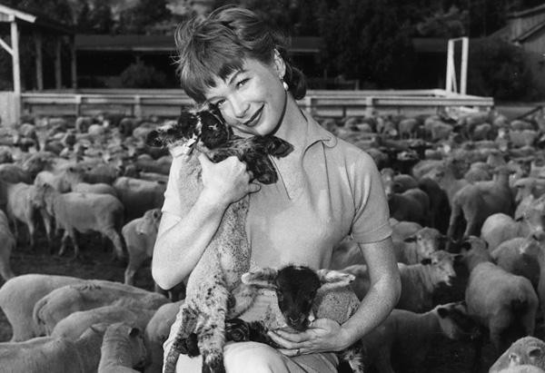 Gallery of Shirley MacLaine