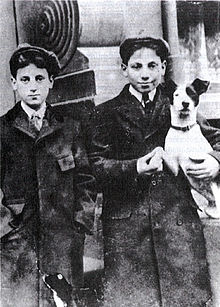 Gallery of Chico Marx
