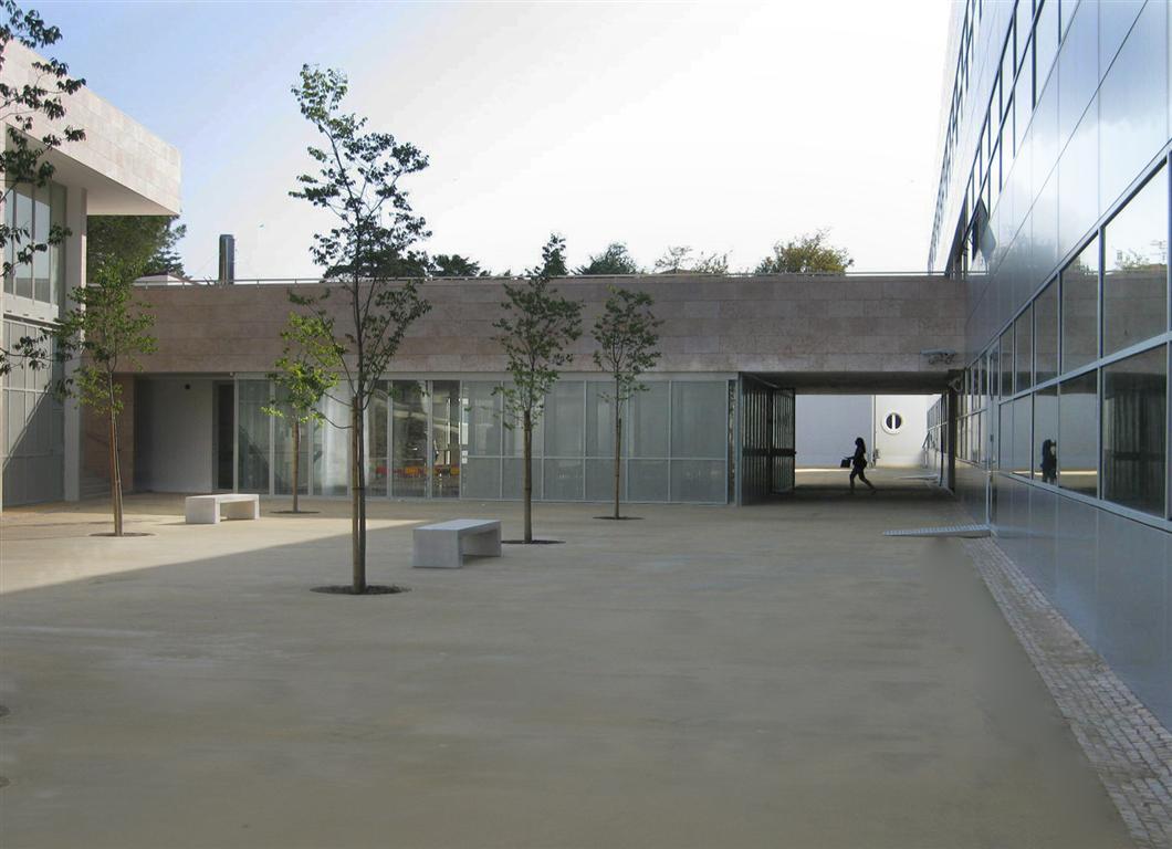 Gallery of Jorge Martins
