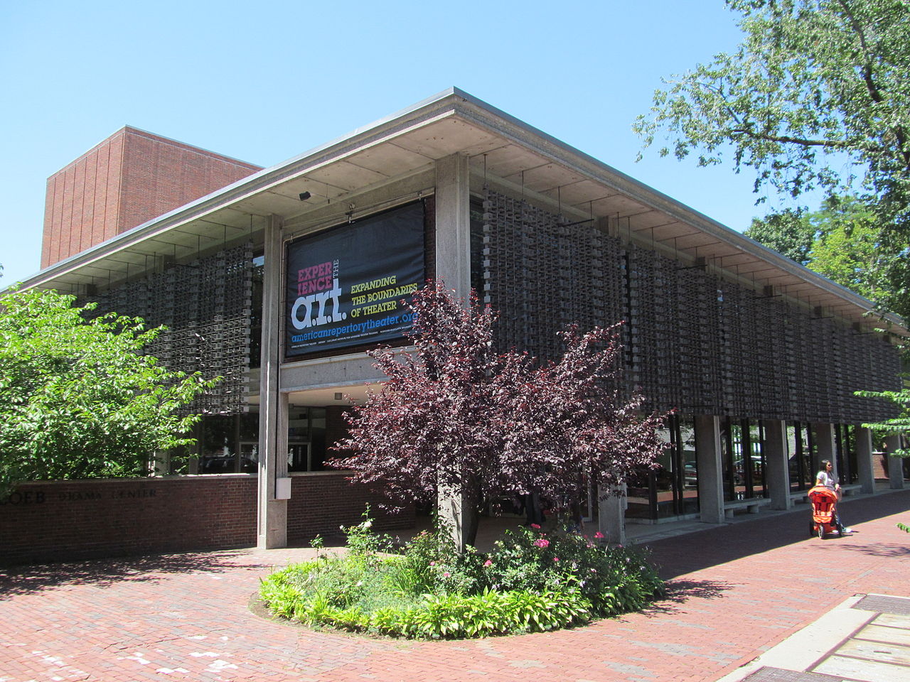 Gallery of Dorothy Dunaway