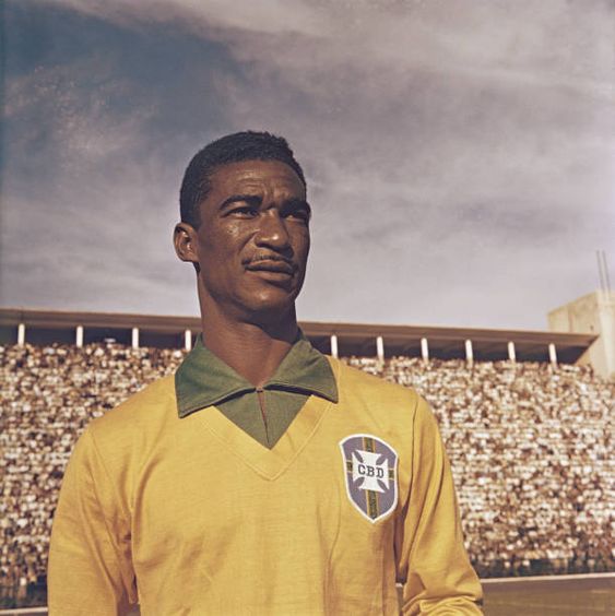 Waldyr Pereira